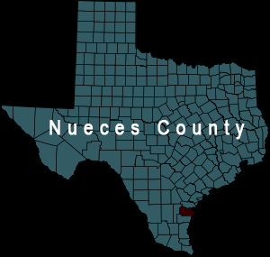 Website for Nueces County Property Tax Trends