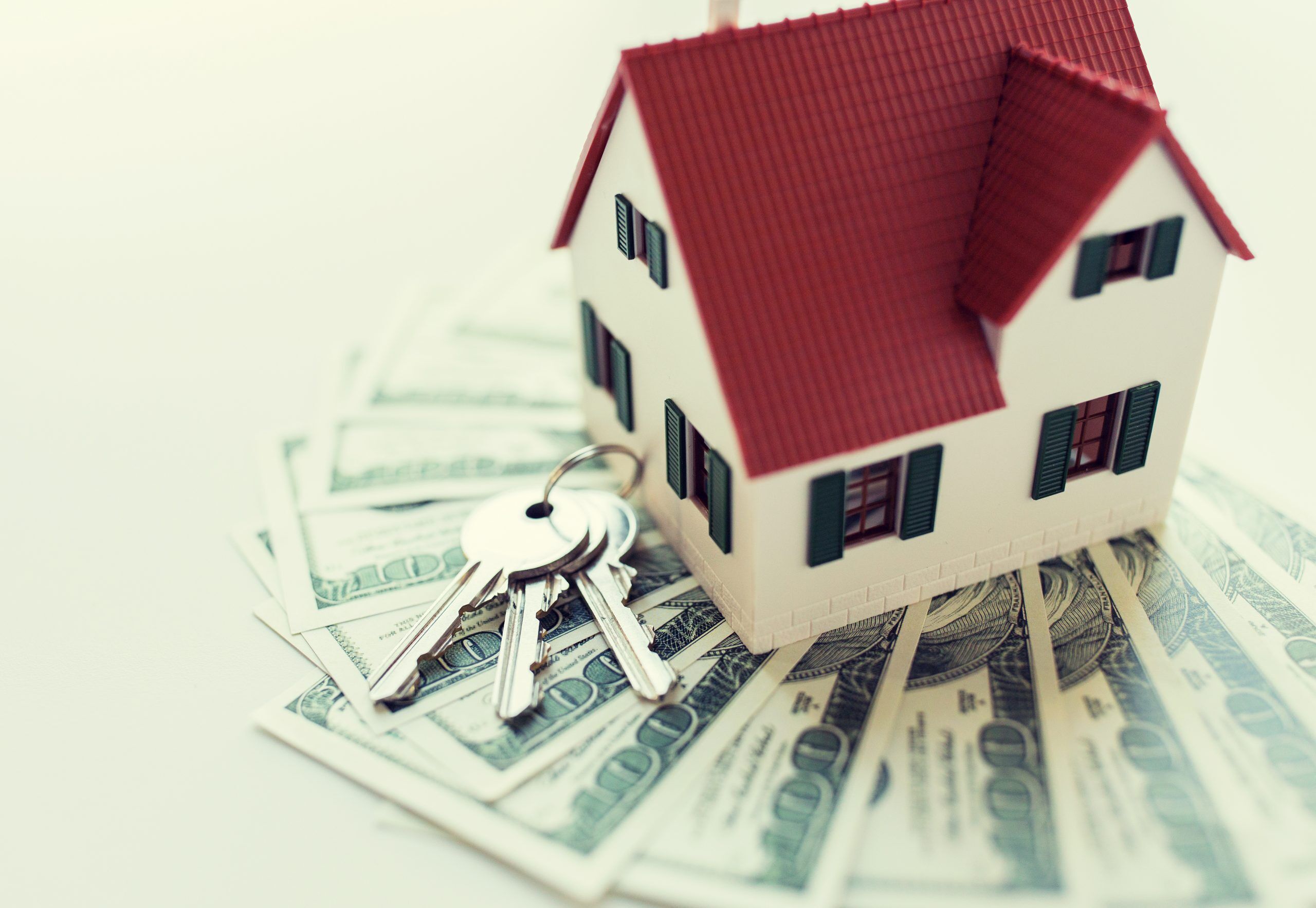 Cameron Cad Property Search 98