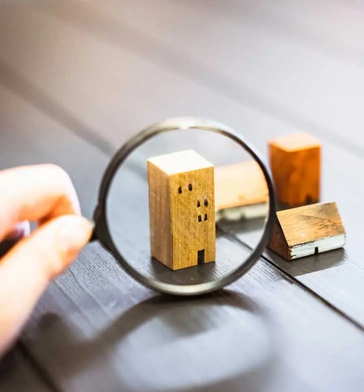 magnifying glass