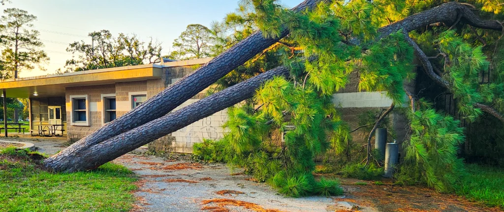 The aftermath of Hurricane Beryl