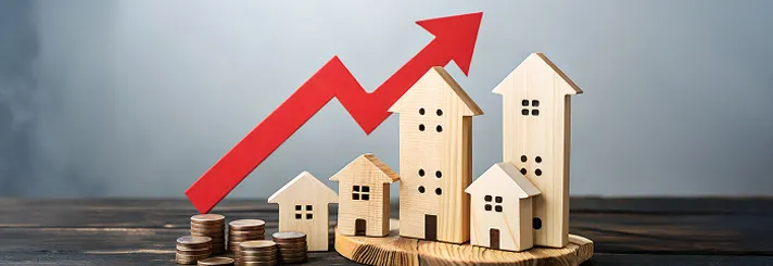 Lower your Property Taxes